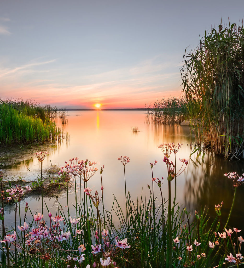 coucher de soleil au bord du lac